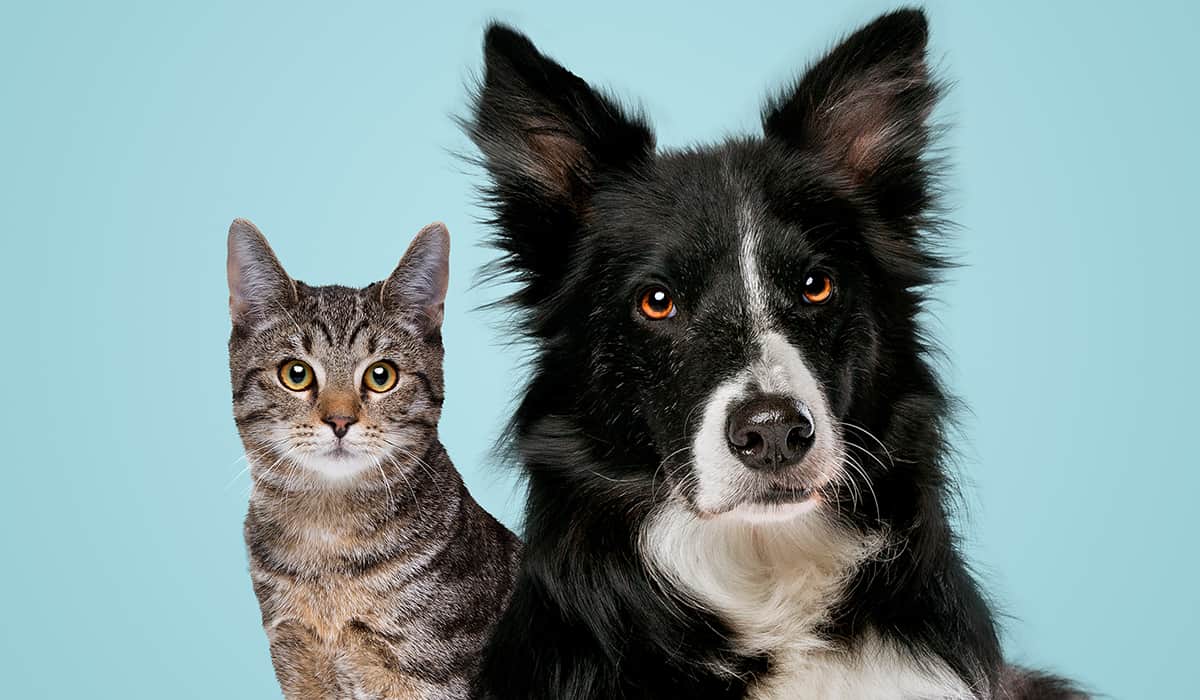 Wellness and Preventive Care