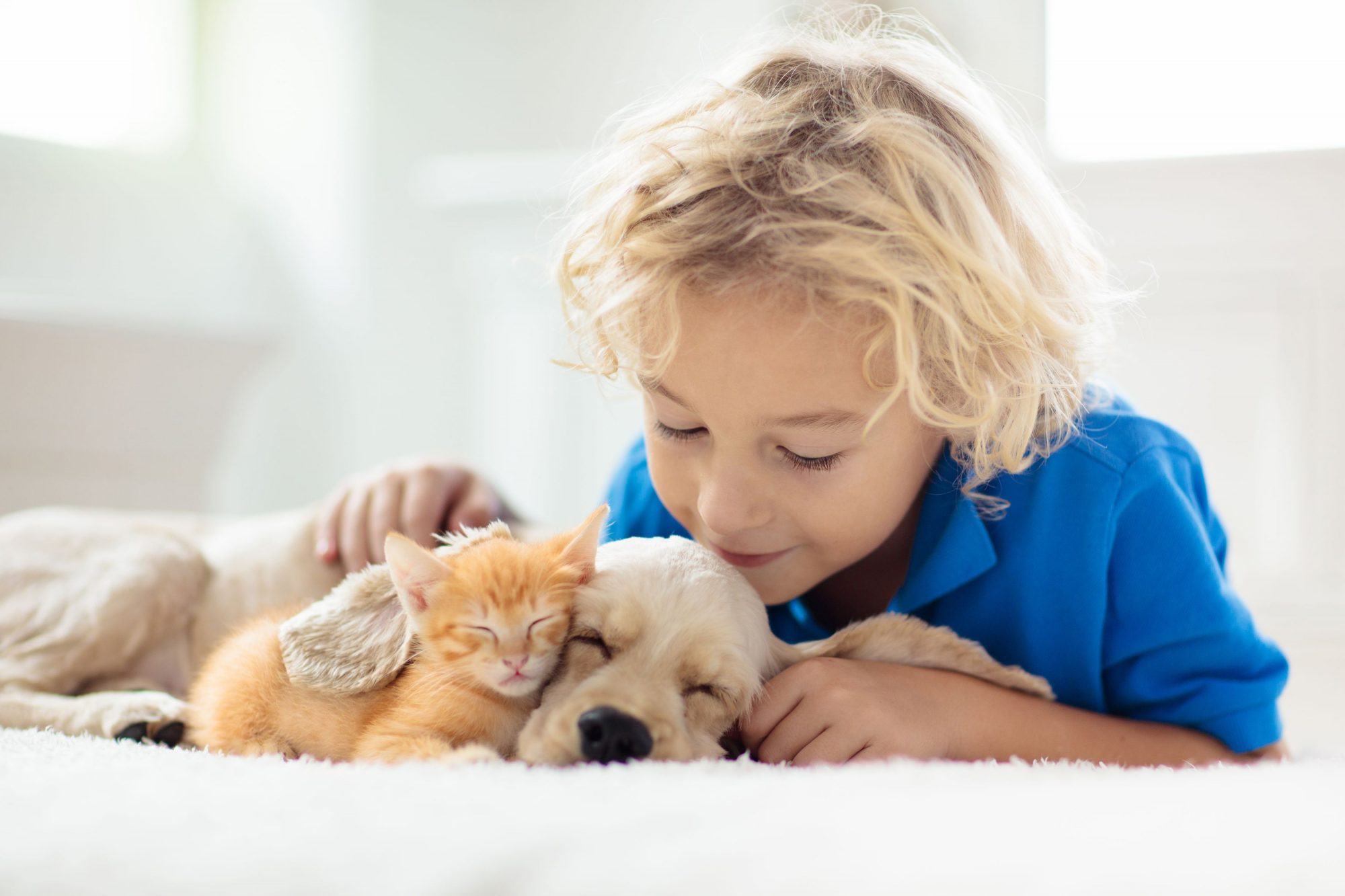 Puppy and kitten with child.