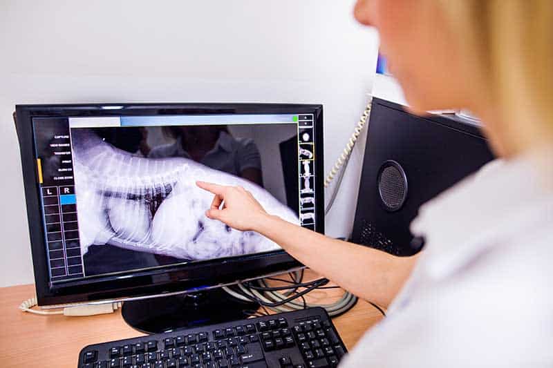 Examining a digital x-ray